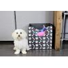 imageBins ampamp Things Dog Toy Bin Storage Basket 14 x 14 x 14 Inches Thick Felt Dog Toy Box with Cute Dog Paws and Bones Prints  Foldable Pet Accessory Basket with Curved Cutout